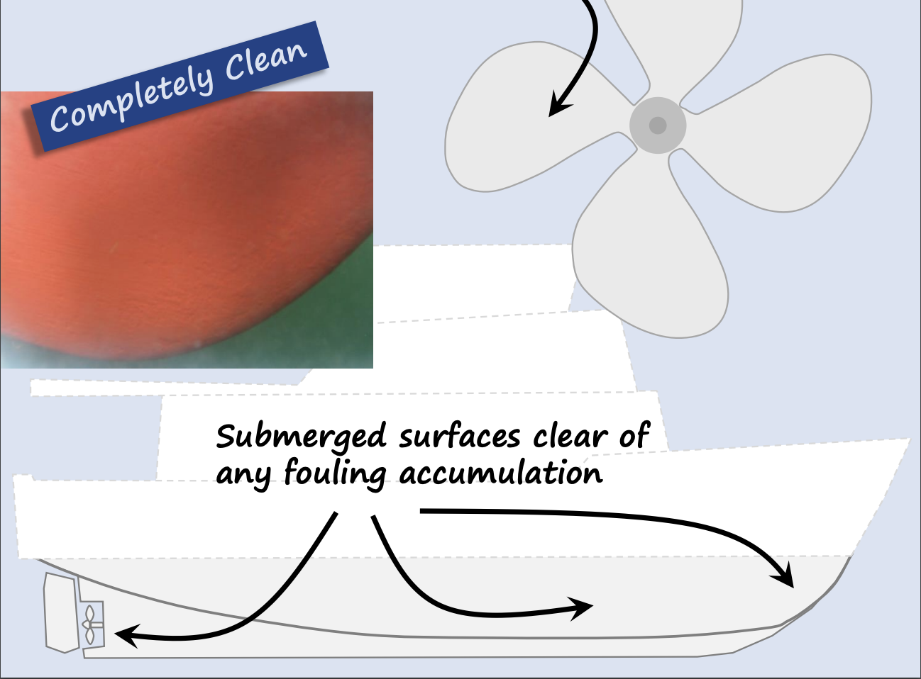 biofouling